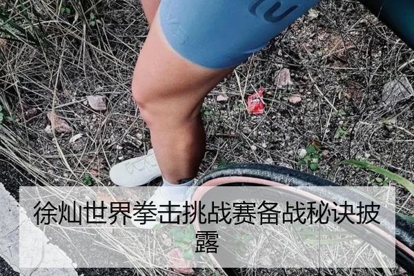 徐灿世界拳击挑战赛备战秘诀披露